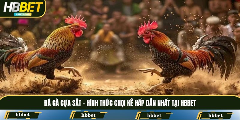 Đá gà cựa sắt