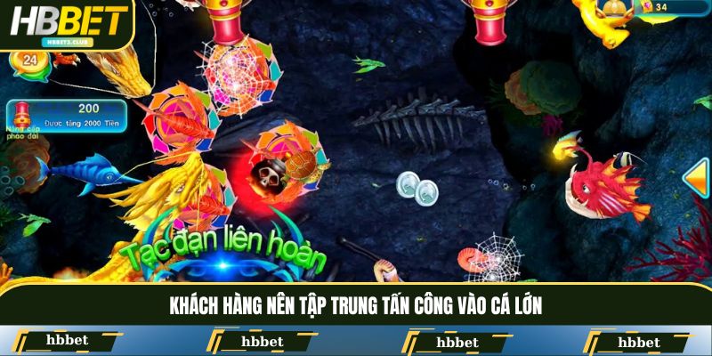 Khách hàng nên tập trung tấn công vào cá lớn