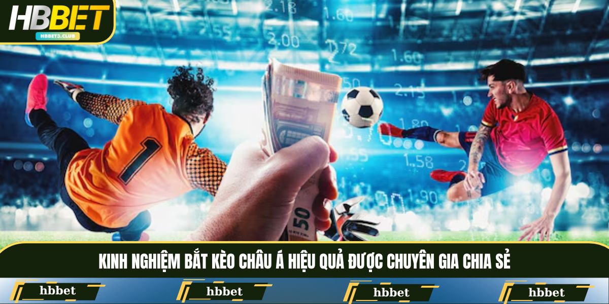 Kinh nghiệm bắt kèo Châu Á hiệu quả được chuyên gia chia sẻ